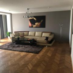 Möbelierte 3-Zm-Wohnung mit luxuriöser Innenausstattung in Zentrum