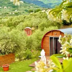 Le Botti Fiorentine