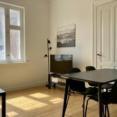 Central and Spacious Apartment for 4