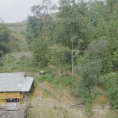 Local Homestay