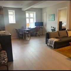 Modern central apartment in a quiet area