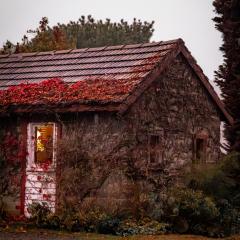Historic Farm Romance with Miniature Goat Feeding at Hideaway Farmlet