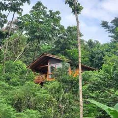 MAYU PATANPI Amazon Lodges