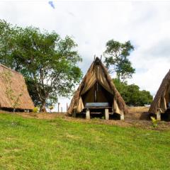 Parque del Mango Tipis
