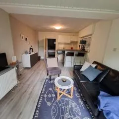 Apartment in Willingen near Ski Slopes, cleaning included