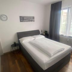 Zentral gelegene schöne Wohnung, neu, im Bremer Viertel , direkte Nähe zum Klinikum, Balkon