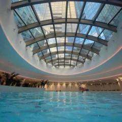 Hanza King Apartament 1 and SPA