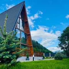 Hidden Cabin