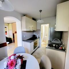 Green Terrace Apartment I