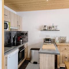 Appartement rénové 2* style montagne 8 pers, 2 ch, proche pistes - FR-1-416-145