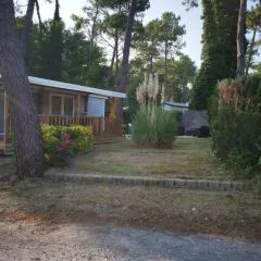 La Margotine