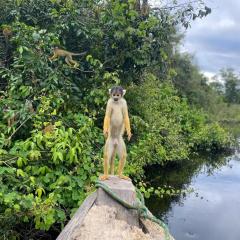 Muesumu Ecolodge Pampas del Yacuma
