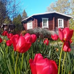 Herralan huvila lähellä PowerParkia Kauhava