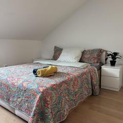 Cozy Studio Warszawa Praga PGE Stadion