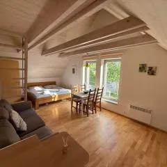 Apartmán U Venuše