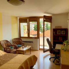 1BDR in City Center - Free Parking