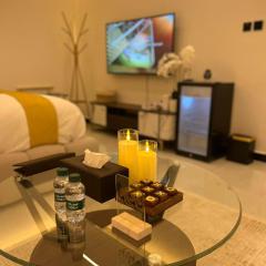 استديو انيق وهادئ دخول ذكي بالملقا 1001