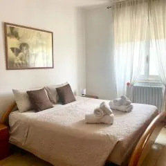 Situation House
