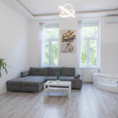 Luxury apartment in the central