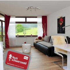 Tolles Appartement Mit Pool In Schluchsee