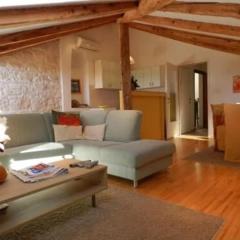 Apartments Radomir