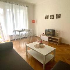 Fully Furnished down town- 5 minutes from Lausanne Train station