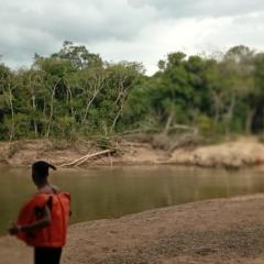 Instituto Ambiental Bugio Ruivo