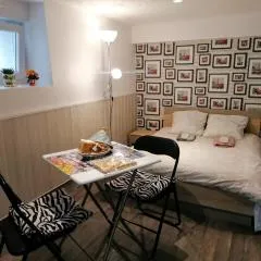 Guest house dans jardin exotique, quartier calme, jacuzzi, parking gratuit