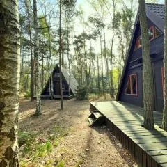 Domki w Wildze