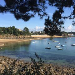 Maison Plein Sud St Lunaire Bretagne