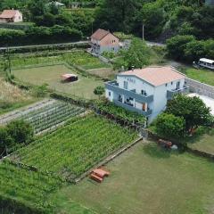 Vržina Farm House Skadar Lake