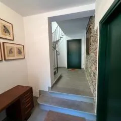 Monte Cucco - Monticello Apartments