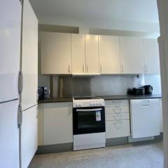 Spacious Apartment for 4