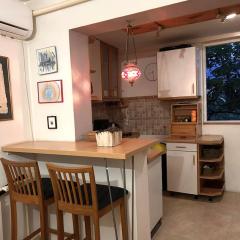 Feniks Apartment
