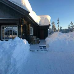 Familiehytte Ved Blefjell