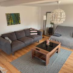 Ferienwohnung Odenwald Fernblick