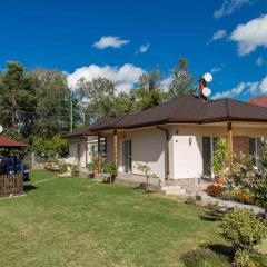 Holiday Homes in Balatonboglar 40843