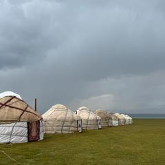 One Million Stars Yurt camp