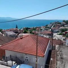 Menidi Studio