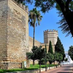Velo de Flor Jerez Apartment