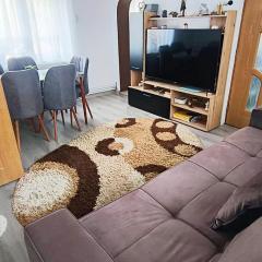 Casa Bianchi Vatra Dornei