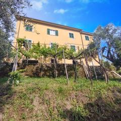 Appartamento dei limoni