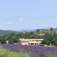 Mas du 18e siècle au calme entouré de champs de lavandes