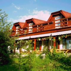 Pension Bran Ioana& SPA