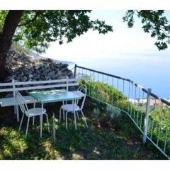 Apartment in Brela - Makarska Riviera 51814