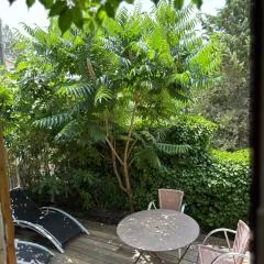 studio en provence verte