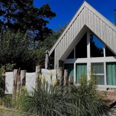 Holiday home in Zingst with swimming pool