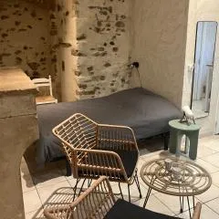 Chambre d hôte Vienne centre historique