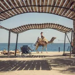 Al Dora Residence Suites Hurghada