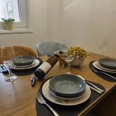 Apartma VINT